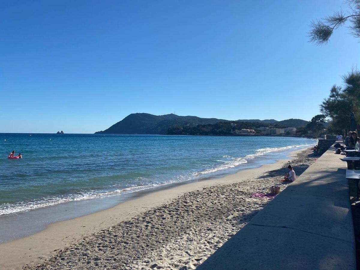 Appartement A 150 M De La Mer La Seyne-sur-Mer Buitenkant foto